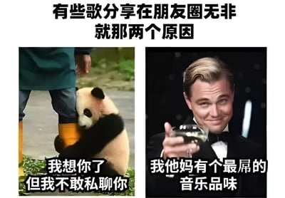 这是一张左右对比的拼接梗图，上方配有文字'有些歌分享在朋友圈无非就那两个原因'。左侧图片是一只熊猫抱着饲养员的腿，下方文字为'我想你了但我不敢私聊你'；右侧图片是莱昂纳多·迪卡普里奥手持酒杯的经典镜头，下方文字为'我他妈有个最屌的音乐品味'。图片通过幽默方式调侃了人们在社交媒体分享歌曲的两种常见心理：一是借音乐表达情感却不敢直接沟通，二是展示自己的音乐品味。