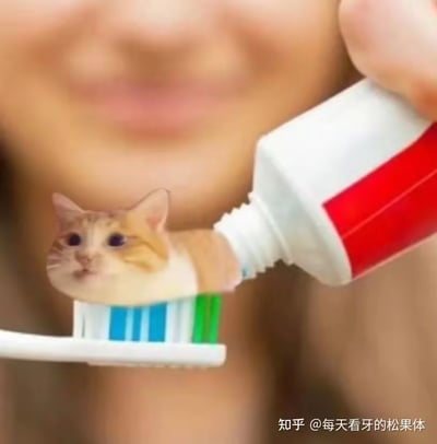 这是一张通过图像合成技术制作的搞笑图片：画面中，一只橘白相间的猫咪上半身被替换了原本从红白牙膏管中挤出的牙膏，猫咪头部露出，神情平静，身体部分与牙膏管出口自然衔接，仿佛正被挤到带有蓝绿白三色刷毛的牙刷上。背景中是模糊的人物面部，营造出准备刷牙的日常场景。图片通过视觉错位的合成手法，将宠物与日常刷牙行为结合，制造出荒诞、滑稽的趣味效果，没有谐音梗或双关含义，单纯以创意恶搞博人一笑。