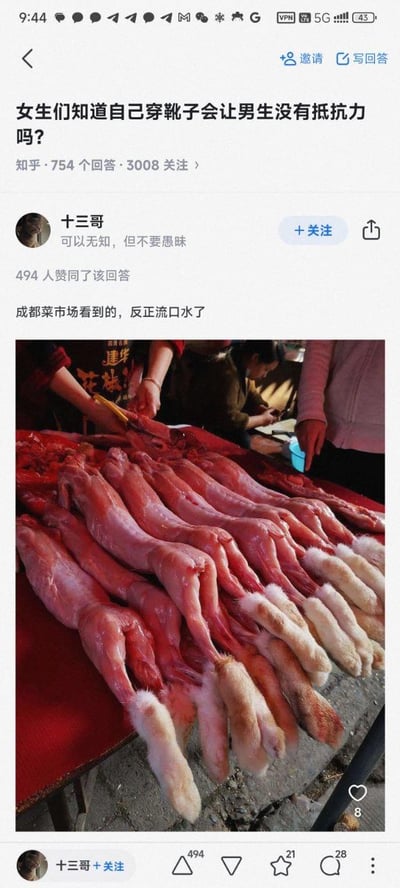 这是知乎平台上的一则问答截图，核心问题为「女生们知道自己穿靴子会让男生没有抵抗力吗？」，用户「十三哥」以玩梗的方式作答：他搭配了一张在成都菜市场拍摄的带毛蹄类动物腿肉图片，这类腿肉的外形酷似靴子，回答文案为「成都菜市场看到的，反正流口水了」，用视觉上形似靴子的肉类调侃原问题里的「靴子」，消解了问题的暧昧氛围，制造出反差搞笑的效果。该回答者的签名为「可以无知，但不要愚昧」，回答获得了494个赞同、28条评论以及8个喜欢，互动数据体现了内容的趣味性与传播度。