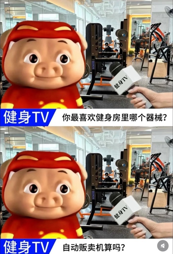 猪猪侠