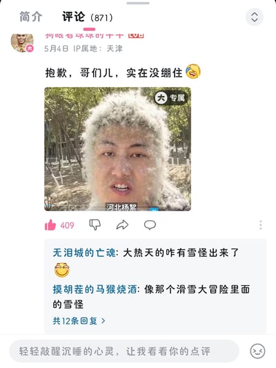 这是一张B站平台的评论区截图，显示该内容所在的评论区共有871条评论。顶层评论由用户“何眠有球球的十十”于5月4日发布，IP属地为天津，内容为“抱歉，哥们儿，实在没绷住”并搭配大笑表情，附带的图片中一名身处户外林地的男子头发、面部完全被白色杨絮覆盖，图片下方标注文字“河北杨絮”，右上角带有“大 专属”标识。该评论获得409个赞，下方有其他用户回复调侃，一名用户称“大热天的咋有雪怪出来了”，另一名用户补充说该形象像游戏《滑雪大冒险》里的雪怪，共有12条相关回复。