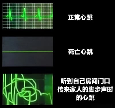 图片为上下排列的三格对比图，均以黑色为背景，搭配绿色波形和白色文字标签。第一格显示规则起伏的绿色心电图波形，右侧标注“正常心跳”；第二格为一条平直的绿色水平线，右侧标注“死亡心跳”；第三格是杂乱无章、密集缠绕的绿色波形，右侧标注“听到自己房间门口传来家人的脚步声时的心跳”。通过夸张化的心跳曲线对比，幽默地表现出人们在听到家人靠近自己房间时可能产生的紧张、慌乱情绪，引发对类似生活场景的共鸣。
