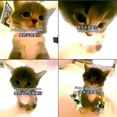 这是一张由四格画面组成的连环表情包，主体是一只AI画风的软萌小猫。第一格中小猫眼神真挚端坐，配文“I loved you yesterday 我昨天很爱你”；第二格小猫凑近镜头，配文“我今天很爱你 I love you today”；第三格小猫安静坐着，配文“I'll love you tomorrow 我明天也会很爱你”；第四格小猫双手各拿着一束花，配文“I'll love you forever. 我永远很爱你”。整体以时间递进的方式，用可爱的小猫形象搭配温暖的双语告白语句，传递出持久浓烈的爱意，风格温馨治愈，适合向亲近的人表达喜爱与在乎。