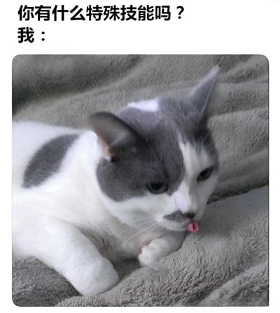 图片上方有黑色文字“你有什么特殊技能吗？我：”，下方是一只灰白相间的猫咪躺在灰色毯子上，身体舒展，正伸出粉色舌头舔舐前爪，表情淡定从容。通过猫咪悠闲自在的姿态与上方的提问形成反差，幽默地表达了面对“特殊技能”询问时的“摆烂”心态，即没有什么过人之处，只想轻松度日的自嘲情绪。