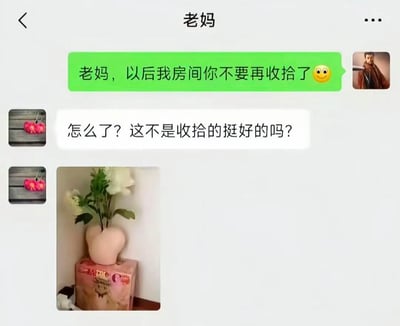 这是一张微信聊天界面截图，对话双方为子女和其备注为“老妈”的母亲。子女首先发送消息告知母亲以后不要再收拾自己的房间，附带微笑表情；母亲感到疑惑，回复称自己收拾得挺好，并附上了一张照片：照片中母亲误将子女放在房间里的外形类似臀部的成人情趣用品当成了花瓶，在其中插入了白色的花摆放在箱子上，闹出了令人啼笑皆非的乌龙事件，反映出长辈对年轻人私密物品不了解产生的尴尬趣事。