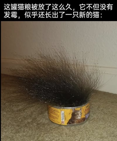 这是一张充满趣味的恶搞静态图，画面展示了一个放置在地毯墙角处的Fris品牌猫粮罐头，罐头内部没有盛装猫粮，而是被一大撮杂乱蓬松、带着细碎黑点的深色猫毛填满，看起来像是从罐头里“生长”出来的。图片上方的配文以幽默的语气调侃“这罐猫粮被放了这么久，它不但没有发霉，似乎还长出了一只新的猫”，将猫毛比作从猫粮罐里长出的猫，用荒诞的创意调侃养猫家庭中猫毛无处不在的日常，制造出搞笑的效果。罐头标签上还印有一只眼神平静的猫咪图案，进一步呼应了“长出猫”的调侃。