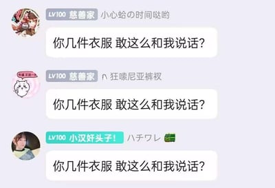 这是一张聊天记录截图，展示了三个不同用户发送的相同内容消息："你几件衣服 敢这么和我说话？"。每个用户都有独特的头像和用户名，包括"小心蛤の时间哒哟"、"狂嗦尼亚裤衩"和"ハチワレ"，其中第三个用户头像显示为真人照片。所有用户都带有"LV100 慈善家"或类似的头衔标识。