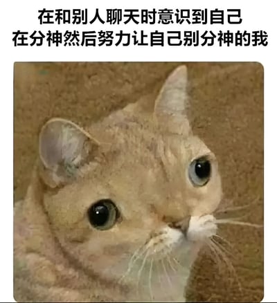 这张梗图上方有文字"在和别人聊天时意识到自己在分神然后努力让自己别分神的我"，下方是一只表情专注的猫的图片。图片通过猫的认真表情与文字内容形成幽默对比，生动展现了人们在聊天时分神后努力集中注意力的状态，引发共鸣。