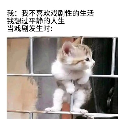 这是一张反差感拉满的搞笑梗图，上方文字以第一人称表达“排斥戏剧性生活、渴望平静人生”的态度，下方则是一只奶白相间的小猫扒在金属栏杆上，身体探出、专注地看向一侧，神态和动作都像极了在围观热闹的吃瓜群众。整幅图用可爱的猫咪形象和前后反差的设定，精准还原了很多人嘴上说着不在意，却在生活出现戏剧性事件时忍不住围观的真实心态，生动又搞笑，很容易引发共鸣。