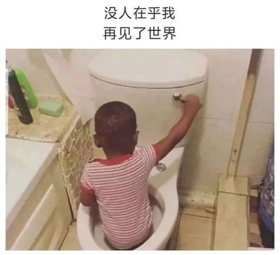 图片中一个小孩站在马桶里，伸手去按冲水按钮，表情看起来很认真。图片上方配有文字“没人在乎我 再见了世界”，形成一种夸张的戏剧化效果，通过小孩站在马桶里这个荒诞场景与悲伤文字的反差制造幽默。
