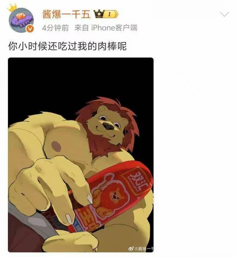 双汇王中王品牌形象