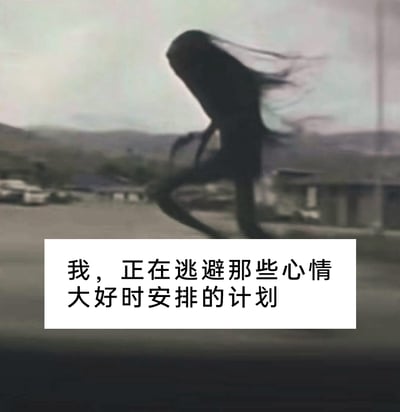 这是一张经过二次创作的文字加注图，画面主体是一位长发人物的模糊背影，人物头发飞扬，背景是模糊的户外村镇场景，整体画面传递出一种快速逃离的动感。图下方配有文字“我，正在逃避那些心情大好时安排的计划”，精准捕捉了当代人普遍存在的一种心态：在情绪高涨时兴致勃勃地制定诸多计划，可到了需要执行的时候却心生抗拒，只想逃避。用夸张的逃跑画面将这种抽象的心态具象化，极易引发当代人的情感共鸣。