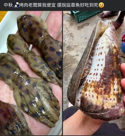 这是一张左右拼接的对比梗图，左侧展示了被人手托着的蓝环章鱼，它是含有致命河豚毒素的剧毒海洋生物，微量毒液即可致人死亡；右侧是被人手拿着的芋螺，同样是带有剧毒的海洋生物，其毒液会引发严重中毒甚至死亡。图上方配有文字“中秋🦑烤肉老板算我便宜 还说这章鱼好吃到死😅”，这里的“好吃到死”是双关语：表面是夸赞章鱼美味到极致，实际是暗指食用这些剧毒生物会直接导致死亡，用搞笑的方式调侃商家推荐的“可食用章鱼”是致命的剧毒物种，兼具搞笑效果和警示意味，提醒人们注意海鲜的食用安全性。