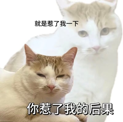 图片展示了一只橘白相间的猫咪，采用了双重曝光效果，前景是清晰的猫咪特写，背景是半透明的猫咪重影。上方文字写着'就是惹了我一下'，下方文字写着'你惹了我的后果'，通过猫咪略带不满的表情和双重曝光效果，幽默地表现了猫咪被惹后的记仇心态。