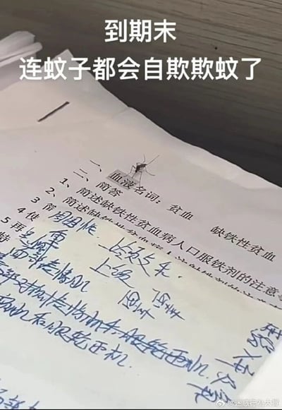 这是一张充满趣味的期末相关图片，顶部配有文字‘到期末 连蚊子都会自欺欺蚊了’，将成语‘自欺欺人’谐音改成‘自欺欺蚊’，玩了巧妙的谐音梗。图片主体是一张医学类的学习资料，上面印有‘血液名词：贫血 缺铁性贫血’的题目，一只蚊子恰好停在这个位置，仿佛在假装自己贫血，以此来调侃期末阶段的疲惫氛围，暗喻学生期末复习时的状态，画面巧合又搞笑，很容易引发学生群体的共鸣。学习资料上还能看到手写的复习笔记，右下角带有微博账号的水印。