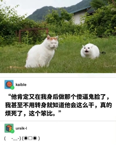 图片展示了两只猫在户外草地上的场景。左侧是一只橘白相间的猫，表情淡定中带着一丝不屑，似乎在内心抱怨。右侧是一只纯白色的猫，正张大嘴巴，露出夸张的惊讶表情，仿佛在做鬼脸。图片下方配有文字对话，完美诠释了两只猫的内心活动和互动关系，形成了有趣的对比效果。