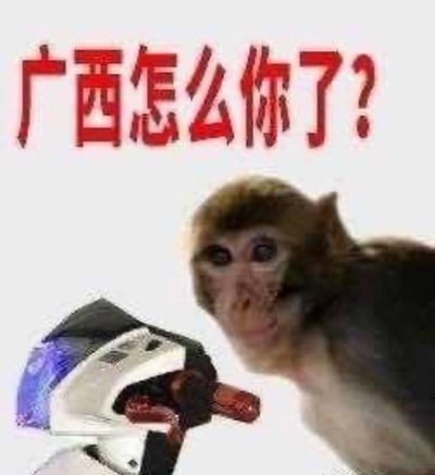 图片上方为红色醒目文字“广西怎么你了？”，下方是一只猴子正好奇地看向镜头，整体构成一个调侃地域话题的表情包。常用于回应对广西的调侃或疑问，以反问语气表达“广西究竟怎么了”的不解，带有幽默和调侃意味。