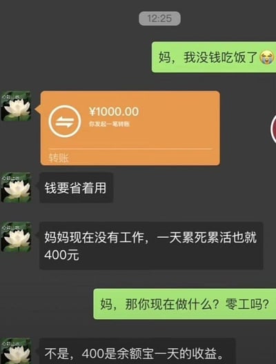 这是一段微信聊天记录梗图：孩子向妈妈哭诉没钱吃饭，妈妈立刻转账1000元并叮嘱省着用，接着卖惨说自己没工作，一天累死累活赚400元，在孩子询问工作类型时，反转说出400元是余额宝的日收益，用先卖惨后炫富的反差制造搞笑效果，展现了一种幽默的炫富方式。