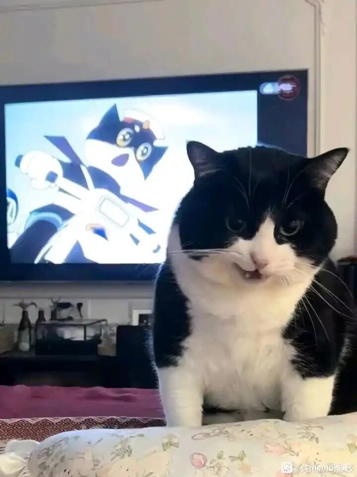 黑猫警长