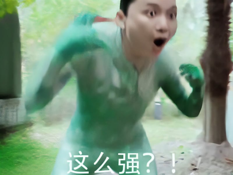 籽岷版我的世界震惊表情包