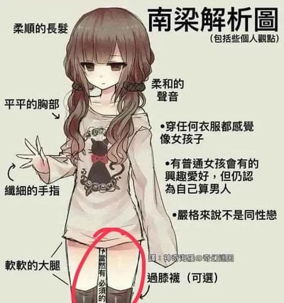 这是一张动漫风格的角色解析图，主角是名为南梁的卡通女孩。她有着柔顺的棕色长发，梳着双马尾，面容平静淡漠，身穿印有黑猫图案的浅色毛衣，左手伸出，手指纤细。图中用箭头和文字标注了她的外貌特征，包括“平平的胸部”“软软的大腿”等，并在右侧列出性格特点：“柔和的声音”“穿任何衣服都感觉像女孩子”“有普通女孩的兴趣爱好但认为自己是男人”“严格来说不是同性恋”。下半身被红色圆圈标注“不过膝袜（可选）”，底部有水印“图源：神奇海蛋の奇幻迷因”。整体风格为图文混排的角色特质分析，常用于动漫爱好者间的角色讨论。