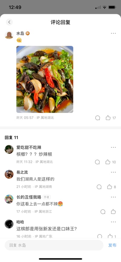 社交媒体评论区截图，展示了一道疑似辣炒菜品引发的趣味讨论。用户"水岛"发布了一张色彩鲜艳的炒菜照片，内含辣椒、香菜等食材。评论区中，各地网友围绕菜品辣度展开互动：湖北网友质疑"槟榔？？？炒辣椒"，湖南网友自豪表示"我们湖南人是这样的"，浙江作者则调侃"你这看上去一点都不辣"，广东网友更幽默追问槟榔品牌选择。整体氛围轻松诙谐，展现了不同地域饮食文化的趣味碰撞。