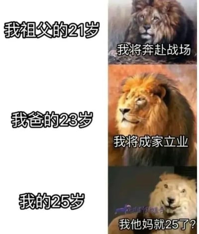 这是一张由三格图片上下拼接而成的对比梗图，通过三代人不同年纪的状态反差来制造幽默效果：
1. 第一格：对应祖父21岁，配图是一只神态沉稳严肃的狮子，配文“我将奔赴战场”，展现老一辈年轻时肩负保家卫国的责任，有着明确的人生方向；
2. 第二格：对应父亲23岁，配图是一只神态平和淡然的狮子，配文“我将成家立业”，体现父辈年轻时以组建家庭、承担家庭责任为目标；
3. 第三格：对应“我”25岁，配图是一只眼神空洞、表情茫然的狮子，配文“我他妈就25了？”，表现当代年轻人到了相应年纪，却对未来感到迷茫，还未做好承担责任的准备，与前两代人的坚定形成强烈反差，用自嘲的方式调侃当代年轻人的成长焦虑与生活状态。
