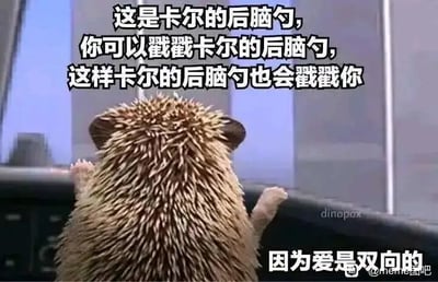 这是一张文字加注的卡通静态梗图，画面主体是一只名叫卡尔的刺猬，它背对镜头，两只前爪搭在栏杆上，似乎在眺望远方。图中配有四段串联的文字，上方文字为“这是卡尔的后脑勺，你可以戳戳卡尔的后脑勺，这样卡尔的后脑勺也会戳戳你”，右下角补充文字“因为爱是双向的”。文案巧妙利用刺猬浑身长刺的生理特性，构建了一个暖心的关联：当人去戳刺猬的后脑勺时，会被它的刺反戳到，以此类比“爱是双向的”——你付出的善意与爱意，也会得到相应的回应，用可爱的卡通形象和生活化的小细节，传递出温暖治愈的情感，适合用来表达对双向奔赴的情感的向往与赞美，没有双关、谐音梗等特殊修辞。