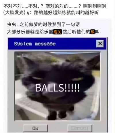 这张梗图由上下两部分组成。上方是一段混乱的思考过程文字："不对不对……不对，？ 噢对的对的………？ 啊啊啊啊啊 (大脑发光) //: 路的越好越熟练就能叫的越好听"。中间是用户"虫虫"的发言："之前做梦的时候梦到了一句话 大部分乐器就是给乐器鹿关然后听他们的银叫"，其中"鹿关"和"银叫"被特殊标记。下方是一个系统消息窗口，里面显示了一只黑猫的照片，猫脸中间有大写的"BALLS!!!!!"文字。整体内容充满了无厘头的幽默和文字游戏。