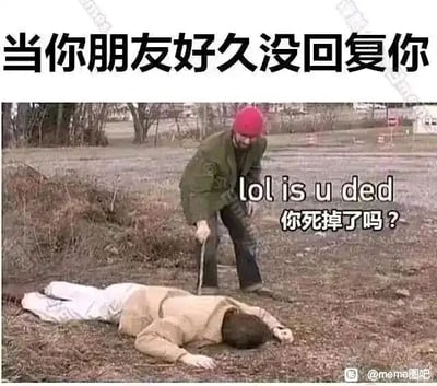 这是一张文字加注类的静态梗图，顶部配有醒目的中文文字“当你朋友好久没回复你”，图中呈现的是户外荒地场景：一位戴着红色针织帽、穿着深绿色外套的人弯腰俯身，手持一根棍子戳向趴在地上一动不动的人，同时在人物旁配有英文“lol is u ded”和对应的中文翻译“你死掉了吗？”。这张图用夸张戏谑的场景，来调侃当自己给朋友发送消息后，朋友长时间未回复时，自己内心产生的疑惑与搞笑吐槽，将朋友的“失联”状态夸张地比作“死掉了”，以幽默的方式表达等待回复时的无奈与趣味调侃，非常贴合日常社交中的这类小情绪。