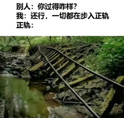 这是一张图文混排的静态单图，上方为三段文字：首先是他人的提问“你过得咋样？”，接着是“我”的回应“还行，一切都在步入正轨”，最后以“正轨：”引出下方的实景图。下方的实景图展示了一段严重损坏的铁轨，轨道扭曲变形，枕木倾斜破败，部分区域浸泡在浑浊的溪水中，周围被杂草和乱石环绕，完全不具备正常通行的条件。这张图运用了双关的创意手法，将“步入正轨”的“正轨”字面化为铁轨，通过回应与实景的强烈反差，自嘲式地表达了看似生活状态良好、步入正轨，实则生活已经一团糟、脱离正常轨道的真实处境，精准戳中当代人在生活压力下的情绪共鸣点。