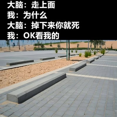 图片上半部分为黑色背景白色文字的搞笑对话，内容是“大脑：走上面 我：为什么 大脑：掉下来你就死 我：OK看我的”。下半部分是一张实拍场景图，展示了一条由灰色砖块铺成的人行道，道路两侧有低矮的石质路障，背景中可见沙地、树木和远处的空旷场地。对话幽默地呈现了大脑发出警告与“我”自信回应的反差，结合下方场景暗示可能要尝试走在路障上的搞笑情境。
