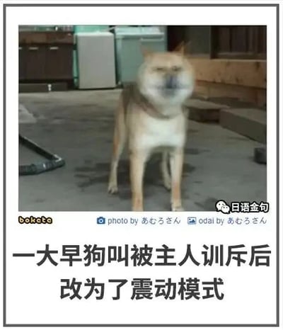 这是一张图文混排的搞笑图片，主体是一只站立在室外水泥地面的柴犬，它的脸部因为动态模糊效果呈现出类似震动的状态。图片下方配有中文文字：“一大早狗叫被主人训斥后改为了震动模式”，用拟人化的搞笑方式，将狗狗的状态类比成手机从铃声切换为震动模式，以此制造出诙谐幽默的效果，调侃狗狗被训斥后的有趣反应。
