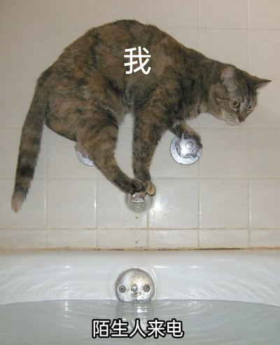 这是一张拟人化的梗图，图中一只玳瑁猫四肢扒在浴缸的水龙头旋钮上，身体紧绷，眼神警惕，呈现出慌张抗拒的姿态。猫的上方标注文字“我”，浴缸出水口位置标注“陌生人来电”，将猫咪抗拒的姿态拟人化，生动地表现出社恐人群或者对陌生来电有抵触情绪的人，在接到陌生人来电时的紧张、窘迫和不想面对的心态，能够引发同类人群的强烈共鸣。