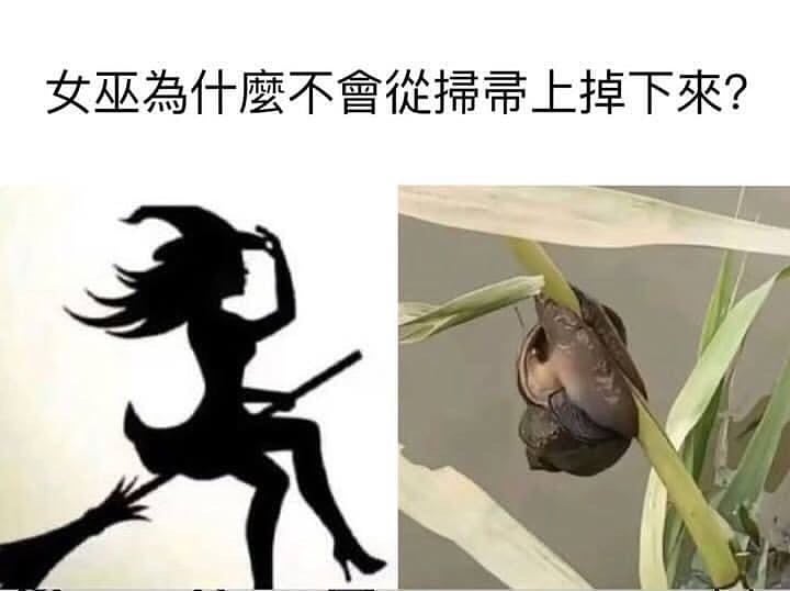 童话角色封面