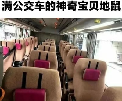 这张梗图展示了公交车内部的座位，每个座位靠背上方有两条黑色竖线，视觉上类似神奇宝贝中的地鼠（Diglett）的眼睛。图片顶部配有文字'满公交车的神奇宝贝地鼠'，通过日常场景与流行文化元素的联想制造幽默，将普通座位调侃为满车的地鼠。