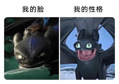 这是一张左右对比的梗图，左侧画面里，《驯龙高手》中的无牙仔表情凶狠，眼神锐利，嘴角紧绷露出尖牙，气场强大，仿佛在威慑对手，上方配文“我的脸”；右侧画面里的无牙仔则完全换了一副模样，它圆睁双眼，大张嘴巴，露出舌头，表情傻气又兴奋，还张开翅膀，姿态放松搞怪，上方配文“我的性格”。整张图用无牙仔这两种极具反差的形象，生动调侃了自己外表看起来不好接近、气场强大，但实际性格却跳脱搞笑、十分接地气的外冷内热状态，精准戳中了很多人“面冷心热”的特质，用动画角色的反差感制造出幽默效果。