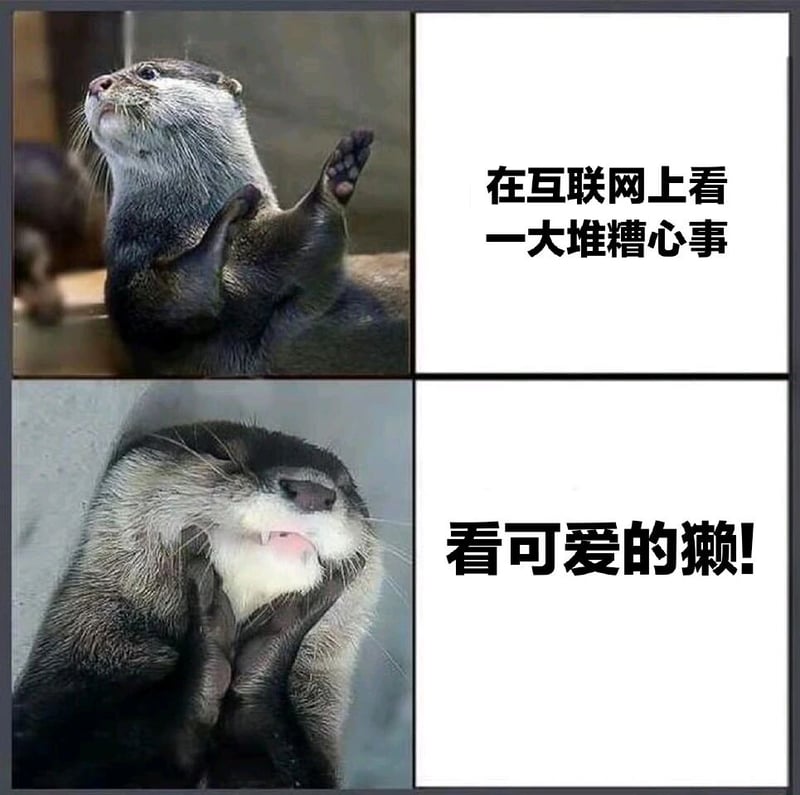 水獭