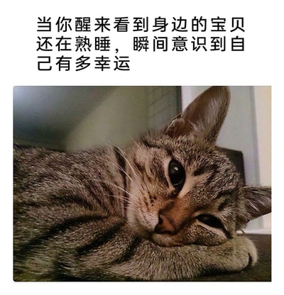 这是一张顶配底文的静态图，上方配有温馨文字“当你醒来看到身边的宝贝还在熟睡，瞬间意识到自己有多幸运”，下方是一张原始拍摄的狸花猫照片：猫咪将前爪垫在头下，一只眼睛半睁、一只眼睛微眯，眼神带着明显的困倦感，呈现出刚睡醒或仍处于休息状态的模样。整体画面温馨又带着可爱感，用猫咪的真实状态呼应了文字里描述的看到身边亲密之人熟睡时的暖心与幸运感，能够很好地传递对亲密之人的珍视与当下的幸福感，适合用来分享日常的暖心瞬间。