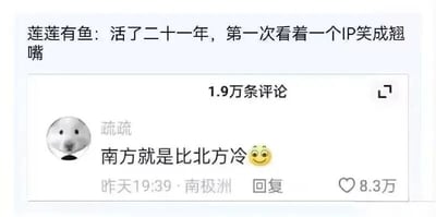 图片展示了一段社交媒体评论区内容。顶部评论来自用户“莲莲有鱼”，内容为“活了二十一年，第一次看着一个IP笑成翘嘴”。下方是用户“疏疏”的评论，其头像为一个简单的圆形灰白图像，评论内容为“南方就是比北方冷😊”，发布时间显示为“昨天19:39”，定位标注为“南极洲”，该评论获得了8.3万点赞。评论区上方还显示有“1.9万条评论”的提示。整体场景围绕南北方寒冷程度的调侃展开，用户通过夸张的定位（南极洲）增强了幽默效果。