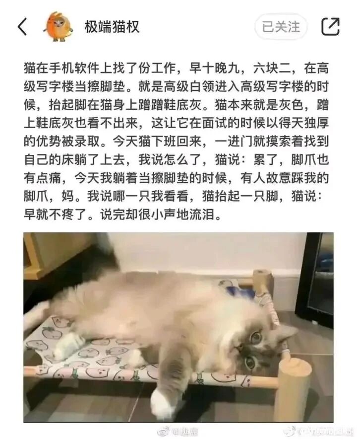 写字楼擦脚垫