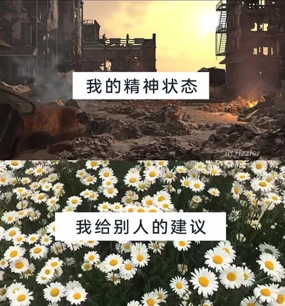 这是一张上下拼接的对比类梗图，上半部分呈现出一片末世风格的废墟场景：破败的残垣断壁、废弃锈蚀的车辆、布满碎石的地面，还弥漫着烟雾，整体氛围压抑、荒芜，搭配文字“我的精神状态”，生动地表达出自身精神世界混乱、疲惫、濒临崩溃的状态；下半部分是一片生机盎然的雏菊花海，白色的雏菊密集盛开，画面清新治愈，搭配文字“我给别人的建议”，展现出自己在开导他人时，总能给出积极、充满希望的建议的状态。该图精准捕捉到当代年轻人“自己一地鸡毛，却仍能温柔开导他人”的真实反差心态，极易引发共鸣。