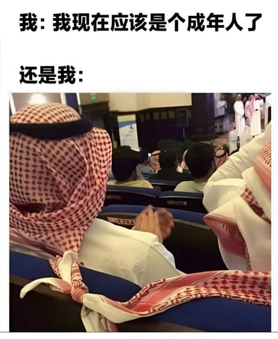 图片上方有两行文字，分别是“我：我现在应该是个成年人了”和“还是我：”，下方是一张观众席照片，画面中有人穿着传统中东服饰坐在蓝色座椅上，通过文字与图片的结合，幽默地展现了成年人自我认知与实际状态之间的反差。