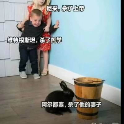这是一张由实拍视频截图改编而成的搞笑哲学梗图，画面呈现的是小男孩看到黑兔子后惊恐哭泣、被身后小女孩拉住的场景，搭配三行调侃性文字：“尼采，杀了上帝”对应尼采提出的“上帝已死”核心哲学观点，“维特根斯坦，杀了哲学”调侃维特根斯坦的理论对传统哲学体系的颠覆性影响，“阿尔都塞，杀了他的妻子”则对应哲学家阿尔都塞曾因精神问题杀害妻子的真实事件。图中小孩的惊恐反应与文字里的“狠人”事件形成强烈反差，用夸张戏谑的方式将严肃的哲学内容趣味化，让哲学圈的相关话题变得搞笑易懂。