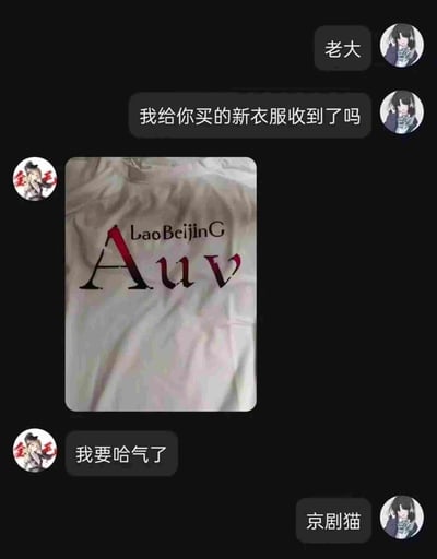 这是一张社交媒体聊天记录截图，背景为黑色，展示了两名使用二次元形象作为头像的用户的对话：备注为“老大”的用户首先询问对方是否收到了自己购买的新衣服，对方回复了收到的衣服实拍图，衣服底色为浅米色，上面印有模仿潮牌设计风格的文字，上方是“LaoBeijinG”，下方是大字“Auv”，玩谐音梗，“Auv”发音近似北京方言感叹词“哎呦喂”，搭配“老北京”的拼音形成搞笑效果，随后发衣服的用户回复“我要哈气了”，最后“老大”回复“京剧猫”，整体内容轻松搞笑，靠恶搞设计和反差感制造笑点。