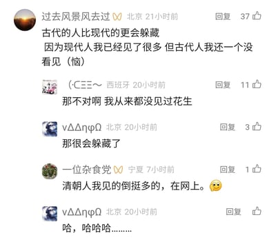 这是一张社交媒体评论区的静态截图，展示了几位网友的趣味互动玩梗。第一位网友以“没见过古代人”为依据，歪理得出“古代人比现代人更会躲藏”的结论；第二位网友顺着这个逻辑，以“没见过花生”进行调侃；第三位网友接力附和“那很会躲藏了”；还有网友玩“清朝人”的梗，指代网上思想守旧的人，最后一位网友以笑声回应，整个评论区充满了轻松搞笑的无厘头氛围，点赞数也体现了这些玩梗内容的受欢迎程度。