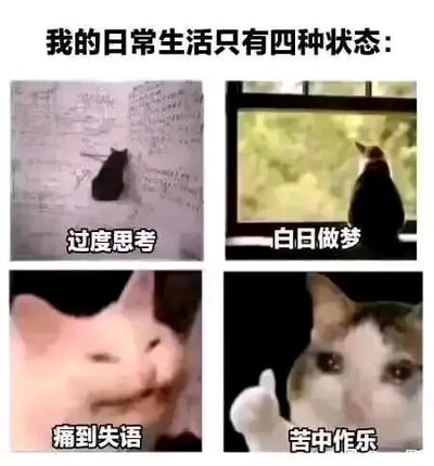 这是一张多图拼接的文字加注表情素材图，顶部配有文字“我的日常生活只有四种状态:”，由四张猫咪相关的图片组成，分别对应四种日常精神状态：左上角是一只黑猫待在写满文字的墙角，配文“过度思考”，表现出陷入深度思绪的状态；右上角是黑猫趴在窗边望向窗外，配文“白日做梦”，呈现出对现实之外的憧憬；左下角是表情扭曲的粉色mur猫，配文“痛到失语”，传递出情绪崩溃无法言说的感受；右下角是一只带着苦涩表情的猫咪竖起爪子，配文“苦中作乐”，体现出在糟糕处境里勉强自我慰藉的心态。整组图用猫咪的神态和场景，生动调侃了当代人日常的几种典型精神状态，容易引发大众情绪共鸣。