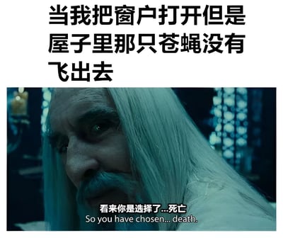 这张梗图上方配有文字“当我把窗户打开但是屋子里那只苍蝇没有飞出去”，下方是一张电影截图，图中一位白发老者表情严肃地凝视着前方，下方字幕显示“看来你是选择了...死亡 So you have chosen... death”。图片通过将日常生活中开窗赶苍蝇却失败的小烦恼，与电影中极具戏剧性的“选择死亡”台词相结合，形成强烈的反差萌，达到幽默搞笑的效果。