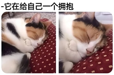 图片为左右两栏拼接的静态图，展示同一只三花猫蜷缩在红色带浅色方块图案垫子上的睡姿。左侧图中猫咪侧躺，前爪交叠抱在脸旁；右侧图为近景特写，猫咪双眼紧闭，前爪更紧密地抱住面部，整体姿态酷似在给自己拥抱。图片顶部配有文字“-它在给自己一个拥抱”，突出猫咪可爱的自我安抚姿势，传递治愈温馨的氛围。