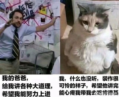 这是一张左右对比的拼接梗图，左侧截取了美剧《费城永远阳光灿烂》中查理的经典场景，画面里的查理表情激动亢奋，肢体动作幅度很大，背景是贴满杂乱纸张的墙面，配文为“我的爸爸，给我讲各种大道理，希望我能努力上进”，还原了长辈苦口婆心说教的状态；右侧是一只灰白相间的猫咪，它眼神低垂，神态委屈可怜，配文为“我，什么也没听，装作很可怜的样子，希望他讲完能心疼我带我去吃肯德基”，精准刻画了晚辈在被长辈说教时，表面装出乖巧可怜的样子应付，内心却只想着自己的小愿望的真实心态，用搞笑的方式引发大众共鸣。